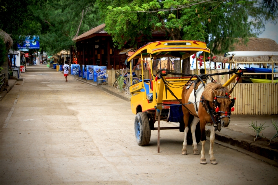 the power of nature, another side to the story
