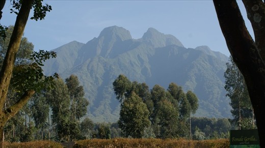 They are somewhere up there!