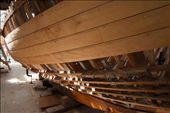 “Peggy” a 22ft Yacht designed and built by Adrian Dean and named after his wife. At its current state, Huon Pine planks begin to enclose the skeleton of the hull as light leaks through the uncovered areas.: by scottnolan, Views[1295]