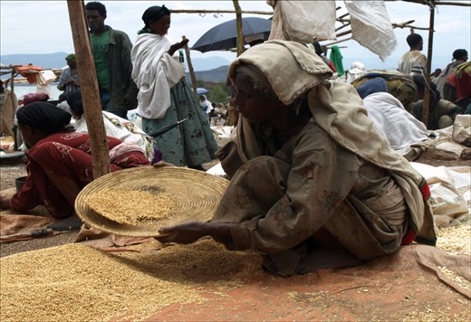 A woman sifting out the Teff, the most common Ethiopian cereal