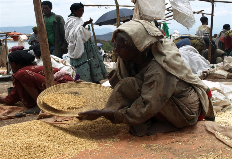 A woman sifting out the Teff, the most common Ethiopian cereal