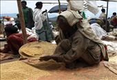 A woman sifting out the Teff, the most common Ethiopian cereal: by scriptamanent, Views[530]