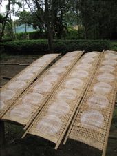 by scubastephb, Views[167]