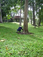 by scubastephb, Views[163]