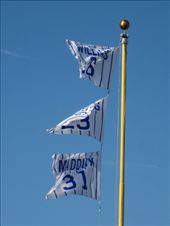 by scubastephb, Views[184]