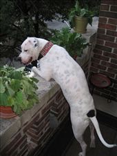 by scubastephb, Views[283]