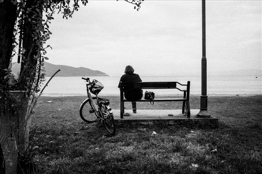a woman gazing at the sea