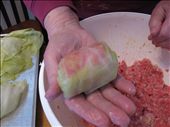 Step 6 & 7 - rolling the cabbage: by seachik, Views[229]