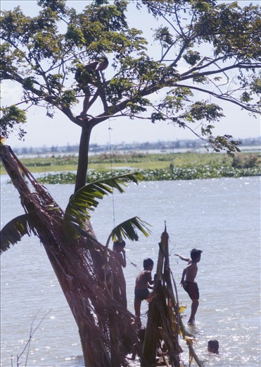 Travelling past Pasig River, we spot a group of boys jumping into the dark and murky waters from a tall tree without a care in the world.