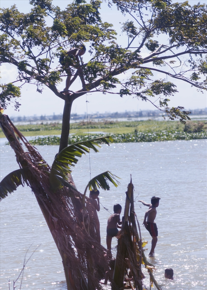 Travelling past Pasig River, we spot a group of boys jumping into the dark and murky waters from a tall tree without a care in the world.