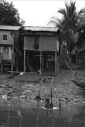 by seandelahay, Views[143]