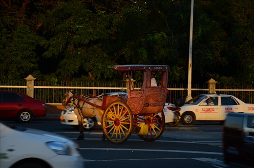 A traditional horse drawn carriage in the middle of the road just waiting