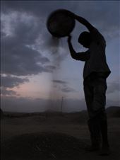 Sifting Grain in the Twilight: by searching, Views[238]
