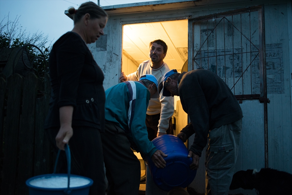 In the morning,people who own cows are selling their milk to a collecting point.