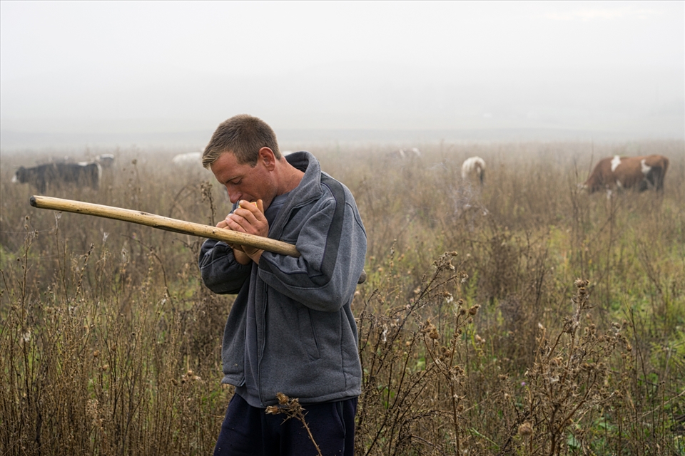 The cowboy is lighting his cigarette .