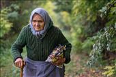An old women is carrying food wrapped in a newspaper .: by sebastian_v, Views[1429]