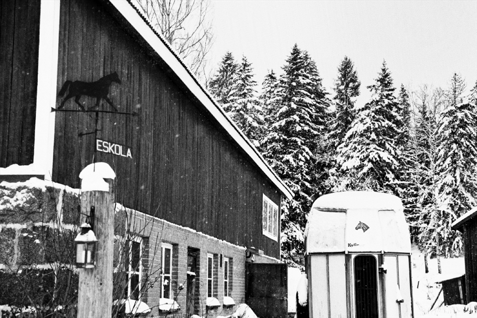 Riding School in Hollola, where in winter there is any class because of the weather 