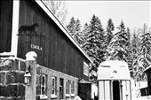 Riding School in Hollola, where in winter there is any class because of the weather : by sebostion, Views[240]