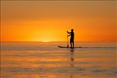 A paddle boarder enjoys the last rays of light on a flat, quiet afternoon in Glenelg, South Australia.: by sebriebolge, Views[217]