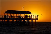A couple surrounded by fishermen admire the falling sun at Henley Beach, South Australia. : by sebriebolge, Views[253]