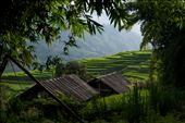 Make shift electricity is slowly encroaching it's way into Village life in Northern Vietnam helping residents light their homes during the night and to give a little relaxation via radio and television.: by sebriebolge, Views[235]