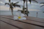Not alone..: by see_beyond, Views[345]