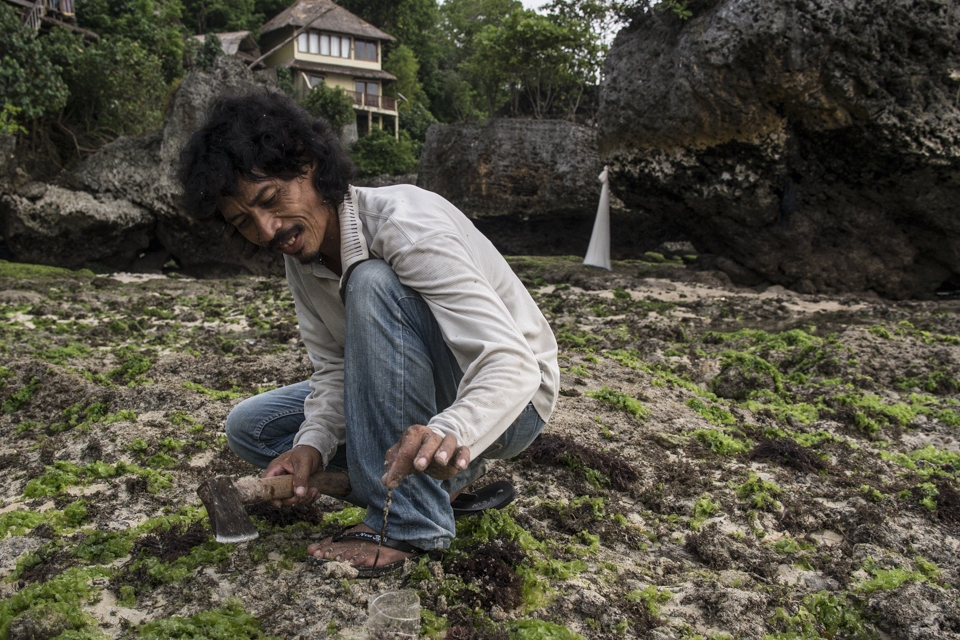 The first step for traditional is getting the alive fishing bait.