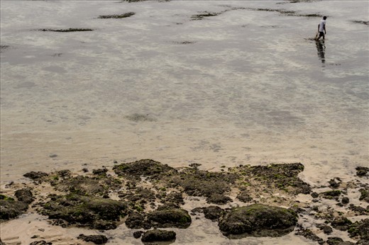 The low tide let the fishermen look for the best shoaling points.