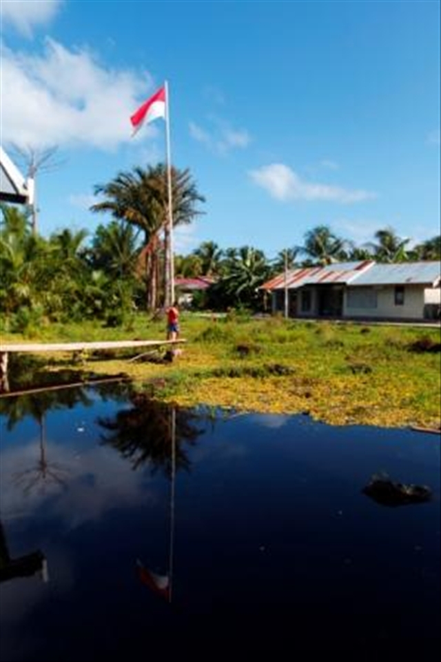 Indonesian Flag, standing in the middle of swamp in Marore Island