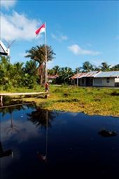 Indonesian Flag, standing in the middle of swamp in Marore Island: by semperfi, Views[501]
