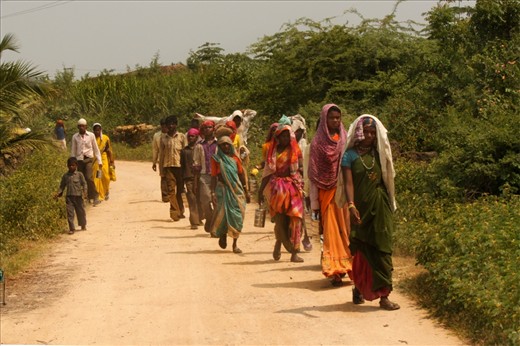 The Helping Hands...
The local residers of village Maraj. The temple and lake is in their village. Their simple life, dependency on nature and faith in God are the ways of living. The Gujarat  Raajput community called Karadiya. 