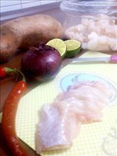 by sense-explorer, Views[344]