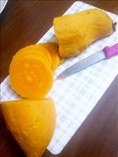 by sense-explorer, Views[323]