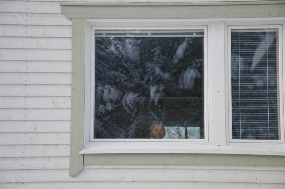 Lassi was eventually taken back into the log house for warmth, with a 50 degrees celcius contrast of temperature on the two sides of the window.
