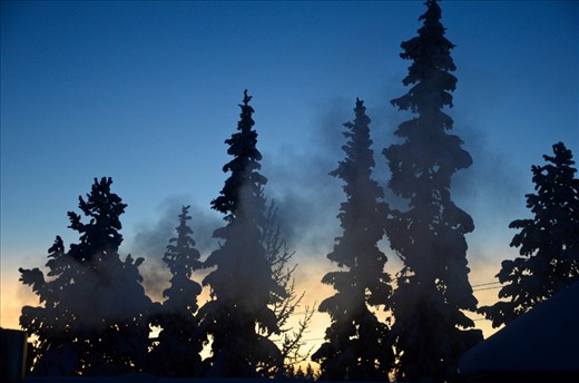 Flame or frost? With vapour from a chimney and the sun barely on the horizon line during 'kaamos' - the Finnish word for Polar Night - it's as though the trees are on fire.