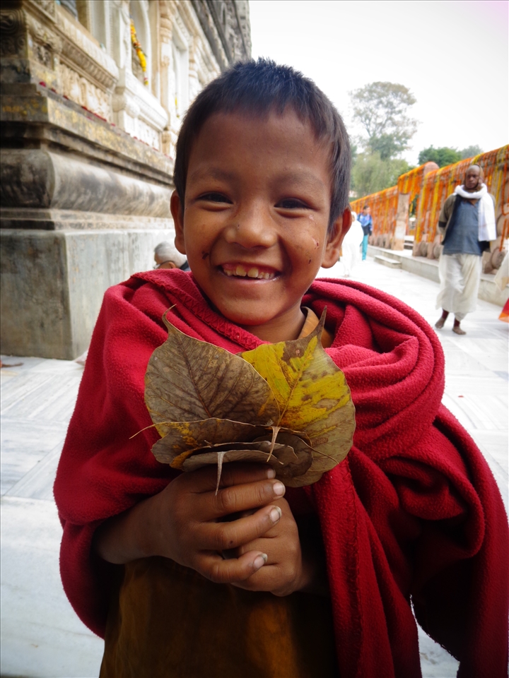 A young monk collecting holy leaves in Bodhgaya, India