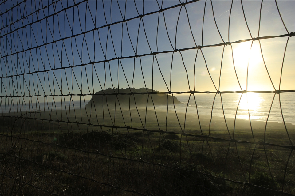 Fencing Fancy happened when I tried to touch the fence and check if sun has turned it warm., it wasn't.  As I went closer I could feel mist on my face.