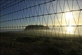 Fencing Fancy happened when I tried to touch the fence and check if sun has turned it warm., it wasn't.  As I went closer I could feel mist on my face.: by setsinwest, Views[356]