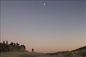Dancing in the moon light, As a I looked around the erratic terrain, the bad lands of Death Valley. A couple held each other in an intense dialogue and I saw an orchestra waiting to play waiting to play their symphony.: by setsinwest, Views[476]
