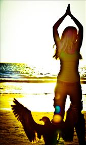 The Bird of Light : by sevanpoetry, Views[296]