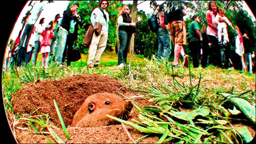 Just popped up to say Hello.