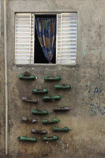 A project uses plastic bottles plant vases to bring a little green