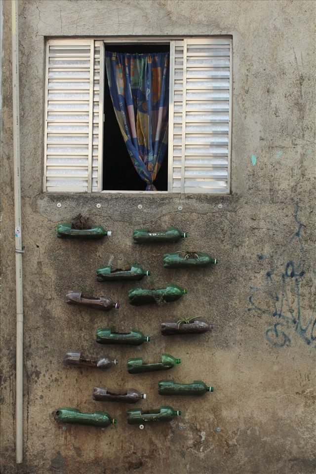 A project uses plastic bottles plant vases to bring a little green