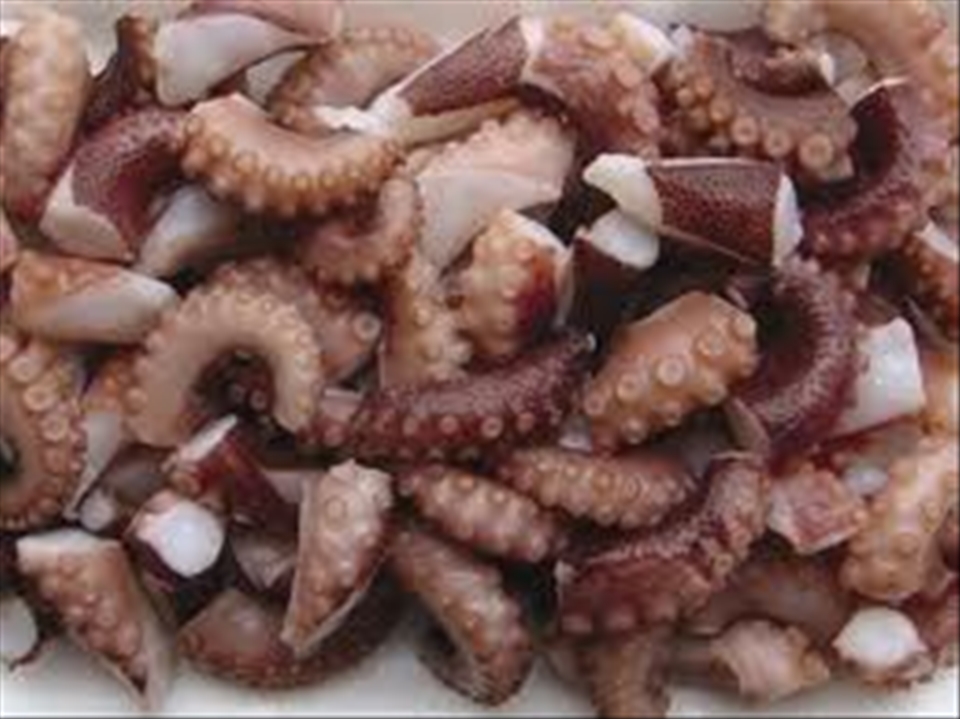 Preparing octopus
