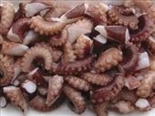 Preparing octopus: by sezziesafari, Views[1424]