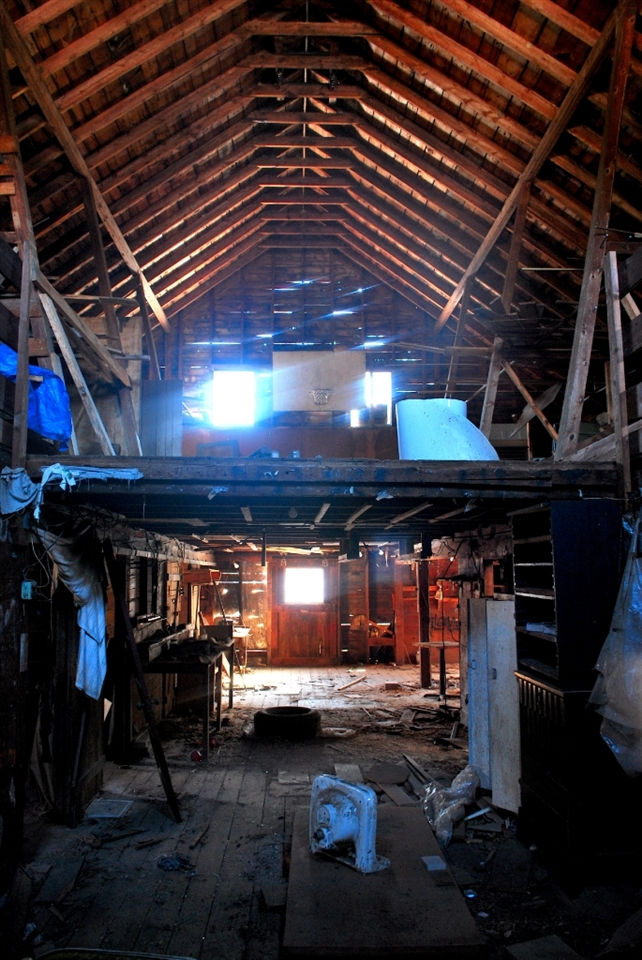 My cathedral. There is a holiness to this place, despite its slow decay. 