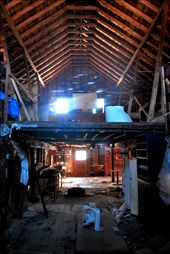 My cathedral. There is a holiness to this place, despite its slow decay. : by sflynn, Views[290]