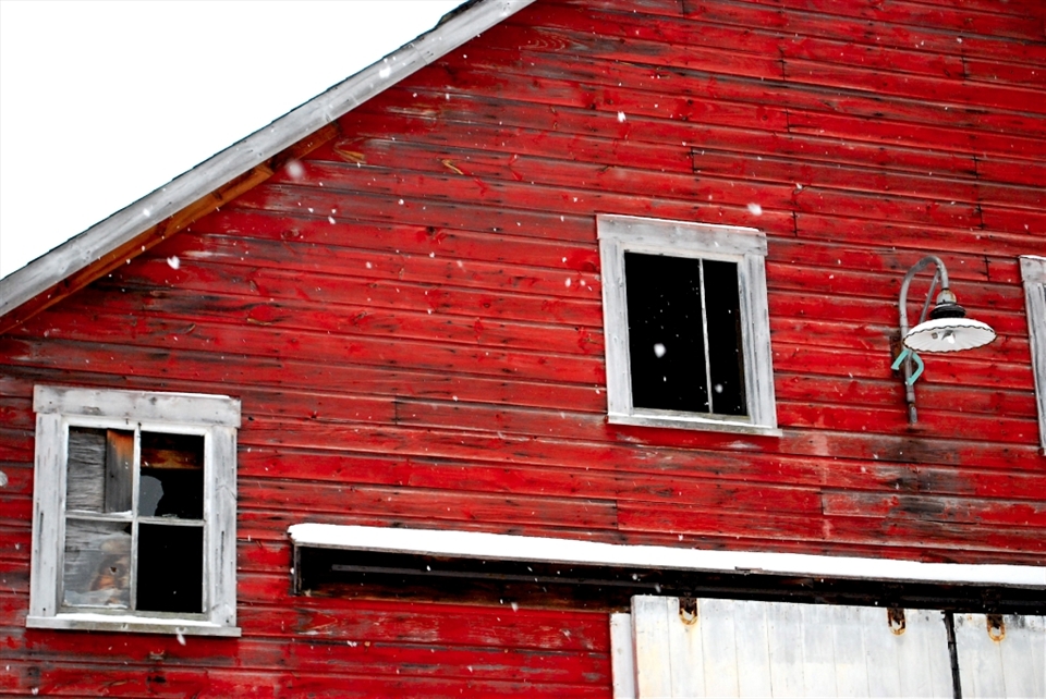 See the horseshoe hanging from the lamp? A sign of good luck