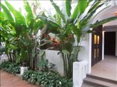 View of our suite from the outside: by sglass, Views[296]
