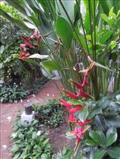 Landscaping: by sglass, Views[244]